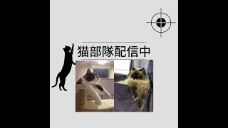 デルタフォース