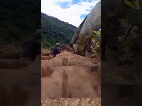 Fuertes combates entre el Ejército Nacional y presuntos integrantes del ELN