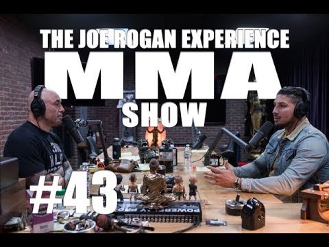 JRE MMA Show #43 with Brendan Schaub