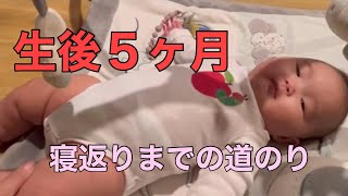 【オーストラリア育児】生後４ヶ月から生後５ヶ月。５ヶ月に近づくにつれ寝返りをするようになりました😆