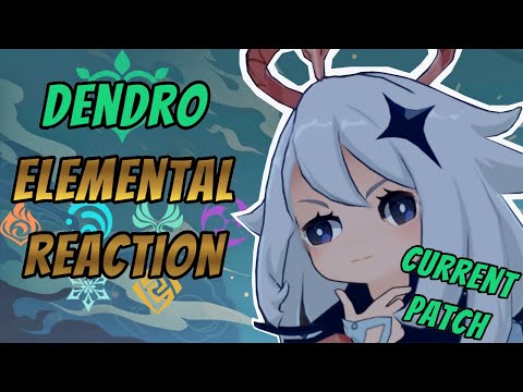 Dendro Elemental Reactions. Before Dendro Patch |Genshin Impact