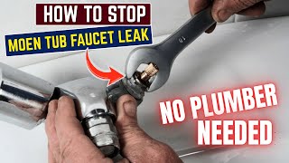 How to Fix a Leaky Moen Tub Faucet (No Plumber Needed!)