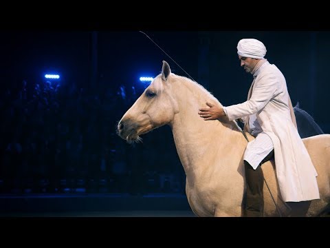 "Gefährten des Lichts" Showimpressionen mit Zuschauerstimmen - 2017/2018