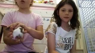 Imogen and Audrey play with baby rats