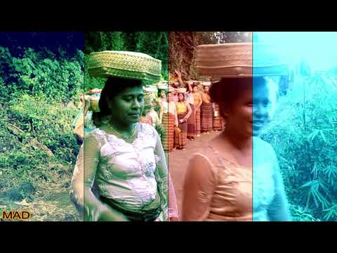 ACARA ADAT ANTAR KEBAREK SUKU KOKEPAPAPAN