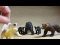 Comparison Of Safari Ltd Grizzly Bear Polar Bear Polar Bear Cub Black Bear And Black Bear Cubs