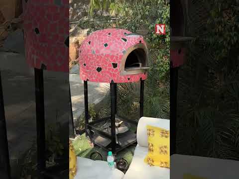 Party-Crashing Monkey Steals Food From Wedding Guest