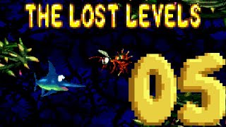 Donkey Kong Country 2: The Lost Levels 100% - Part 05
