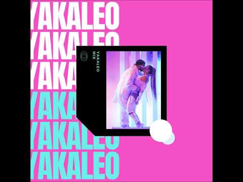 YAKALEO MIX #15 - ⚡ CORAZÓN DE SEDA ⚡ / REGGAETON MIX