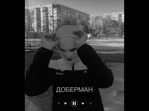 Доберман Agape x Nebesnyi 🔥
