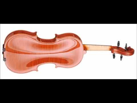 Debora Scianamé - Finalist - 13th Wieniawski Violin Making Comp. | binaural recording | chamber hall