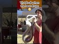That look on their face when the beat drops! 😳 #didgeridoo #saxodidge  #luckyminor7
