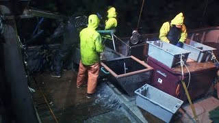 Injury at Sea | Deadliest Catch: Dungeon Cove