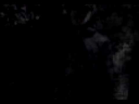 Rima Na hoora Mc Loos Mc Felipinho Mc Patoo !