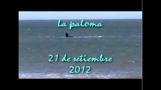 preview picture of video '2012 ...camino a La Paloma'