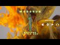 Woodgun - Welcome Little One (Official Audio)