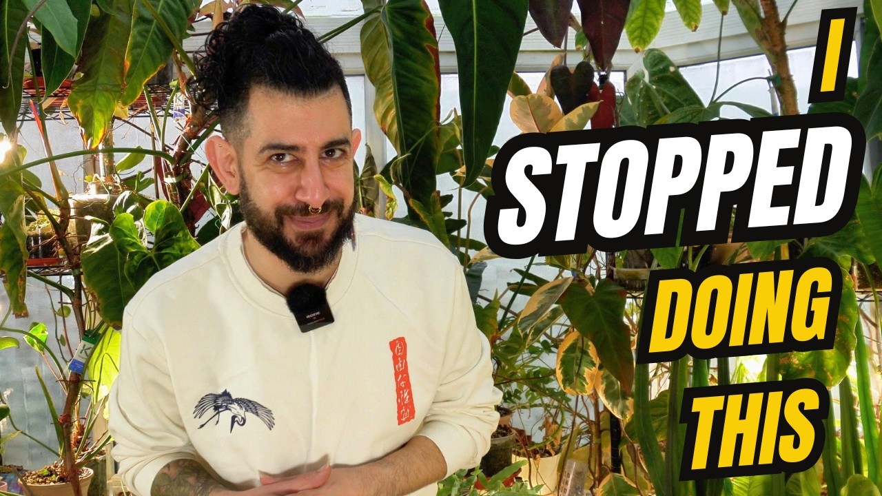 I Stopped Trying So Hard… And It Worked 😅🌱