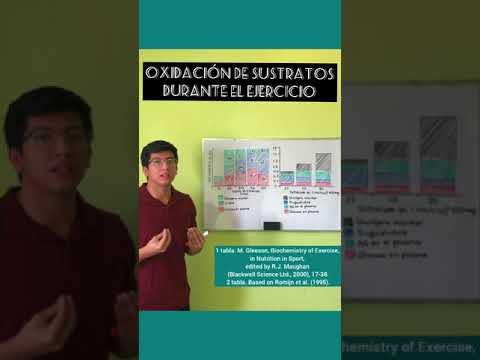 Oxidación de sustratos durante el ejercicio físico 🔥