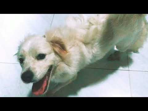 My adorable Nikki 🥰💖❤️💖🥰