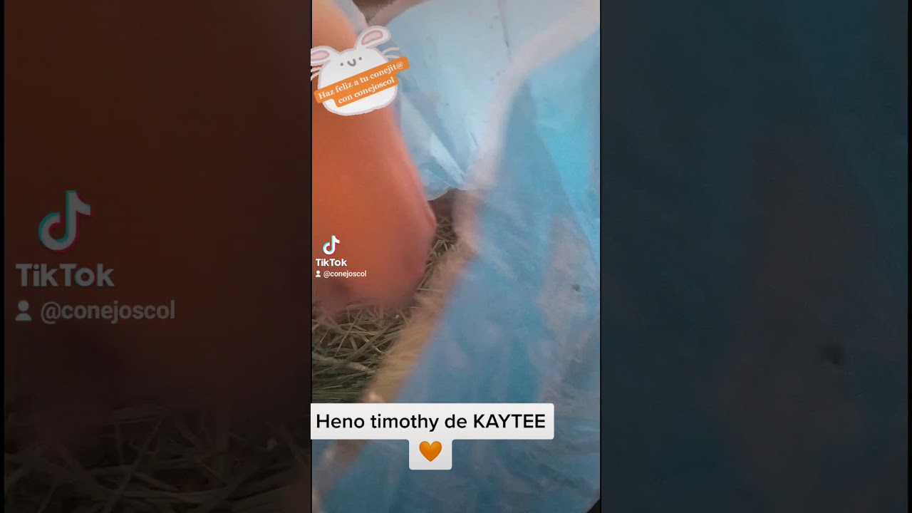 Heno timothy de KAYTEE 🐰 Conejoscol