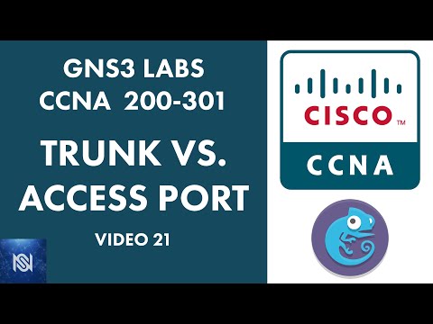 Trunk Port VS Access Port Comparison & Configuration on Cisco - Video 21 GNS3 Labs for CCNA