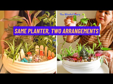 video - Creative Tabletop Garden - Two Ideas