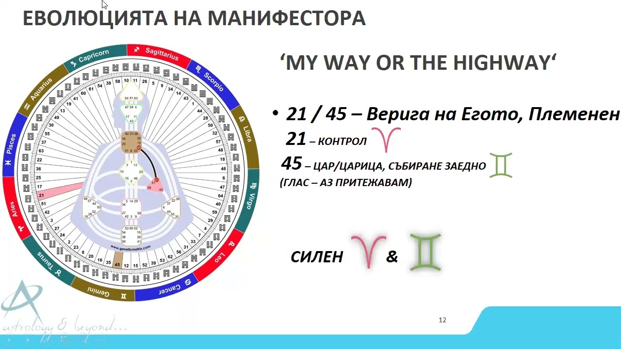 25.11.2024 - МАНИФЕСТОР