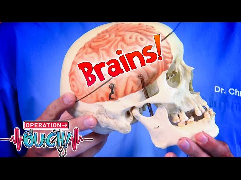 Your Big, Brilliant Brain! 🧠 | Full Episodes | Operation Ouch