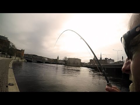 City Slicker Sea Trout