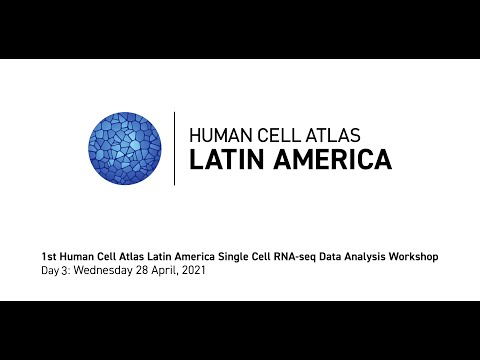 Day 3: HCA Latin America Single-Cell RNA-SEQ Data Analysis Workshop (Virtual)