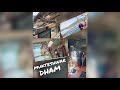 Mukteshwer Dham Mukesran Mukesran In Pathankot Beautiful Places In Pathankot Chef Ashish