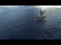Perpetuating The Art Of Polynesian Wayfinding Full Documentary We The Voyagers Our Moana