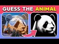Guess By ILLUSION Animal Edition Easy Medium Hard Levels