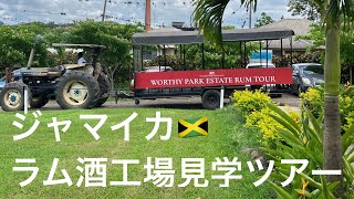 ジャマイカ　ラム酒工場見学ツアー