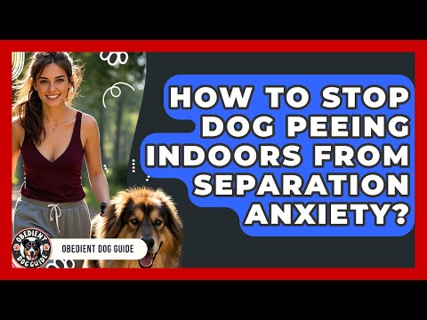 How To Stop Dog Peeing Indoors From Separation Anxiety? - Obedient Dog Guide