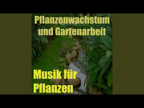 Musik für Pflanzen, Vol. 1 (Pflanzenwachstum und Gartenarbeit)