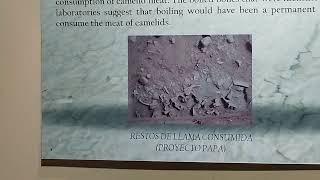 Download lagu MUSEO LITICO DE TIAHUANACO , EN LA PAZ BOLIVIA . SOUNTH AMERICAN .CHANNEL BY RUNACHO mp3 Download lagu MUSEO LITICO DE TIAHUANACO , EN LA PAZ BOLIVIA . SOUNTH AMERICAN .CHANNEL BY RUNACHO mp3