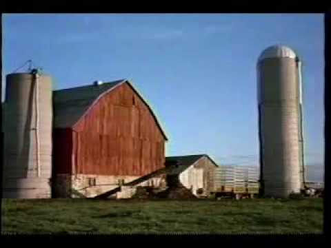 Sesame Street Follow That Bird segment 10 grouch restaurant