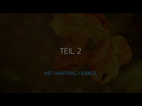 Videovorschau