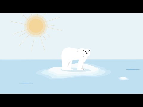 Vidico x EcoMarket - Brand Animation (Advanced)