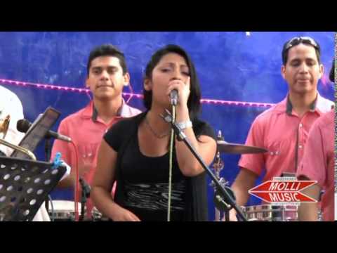 Fuerza Norteña - Volvi a Perder En El Amor
