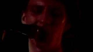 Scruffy The Cat - Runaway