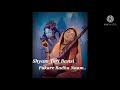 Shyam Teri Bansi Pukare Radha Naam Very Beautiful Song Popular Krishna Bhajan