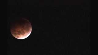 preview picture of video 'Some video of this mornings beautiful Lunar Eclipse Oct08, 2014'