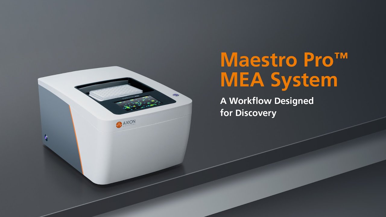 Propel Your Neural Research—with a Workflow Designed for Discovery