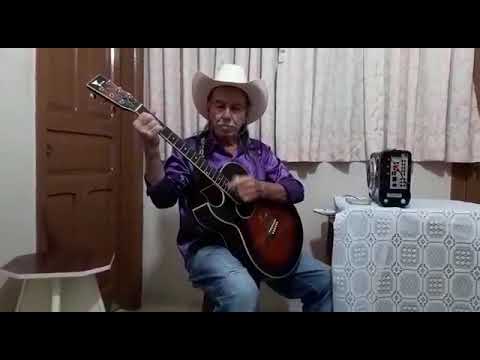 Paulista - o gaviao ea andorinha