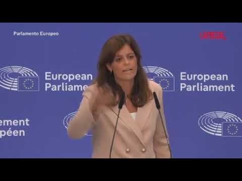 Giornalista mostra a Ilaria Salis la foto del neonazista picchiato: «Sono stufa di essere diffamata»