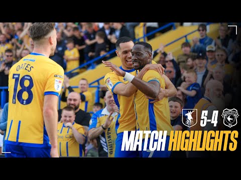 bg-highlight