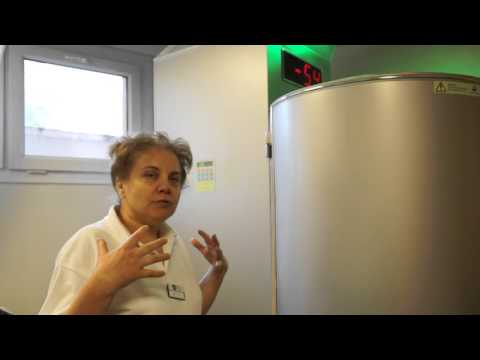 Viola Bösze, Kryo Sauna, Hotel Europa fit