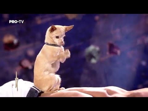 Românii au talent 2023: Christian Stoinev